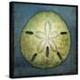 Sand Dollar-John W Golden-Stretched Canvas