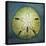 Sand Dollar-John W Golden-Stretched Canvas