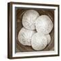 Sand Dollars - Duotone-Katano Nicole-Framed Photo