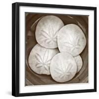 Sand Dollars - Duotone-Katano Nicole-Framed Photo