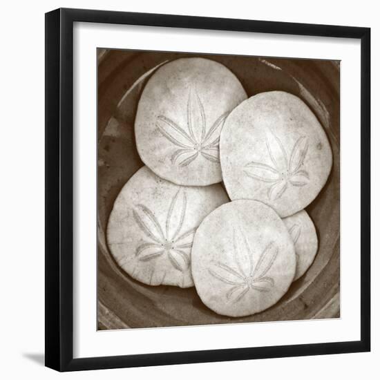 Sand Dollars - Duotone-Katano Nicole-Framed Photo