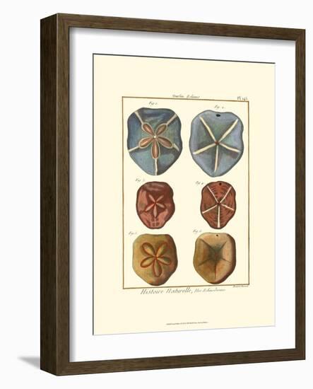 Sand Dollars I-Diderot-Framed Art Print