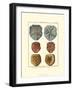 Sand Dollars I-Diderot-Framed Art Print