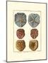 Sand Dollars I-Diderot-Mounted Art Print