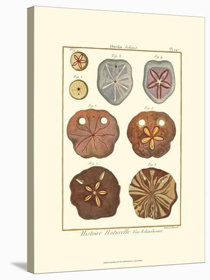 Sand Dollars II-Diderot-Stretched Canvas