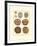 Sand Dollars II-Diderot-Framed Art Print