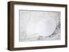 Sand dollars on nautical chart-Savanah Plank-Framed Photographic Print