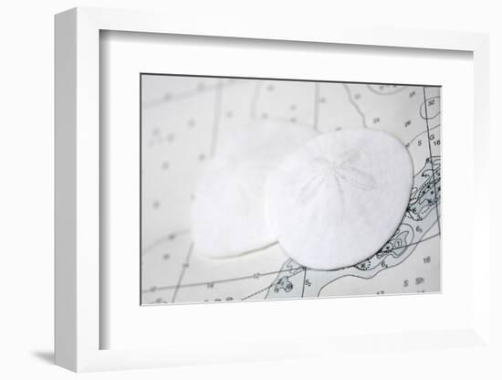 Sand dollars on nautical chart-Savanah Plank-Framed Photographic Print