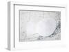 Sand dollars on nautical chart-Savanah Plank-Framed Photographic Print