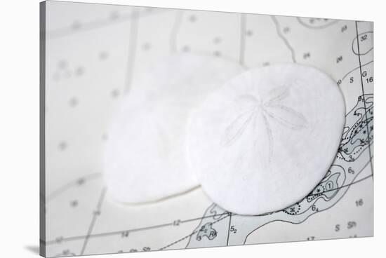 Sand dollars on nautical chart-Savanah Plank-Stretched Canvas