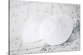 Sand dollars on nautical chart-Savanah Plank-Stretched Canvas