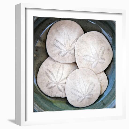 Sand Dollars-Katano Nicole-Framed Photo