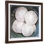 Sand Dollars-Katano Nicole-Framed Photo