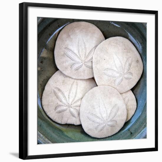 Sand Dollars-Katano Nicole-Framed Photo