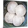 Sand Dollars-Katano Nicole-Mounted Photo