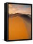 Sand Dune in Desert, Namib Desert, Namibia-Peter Adams-Framed Stretched Canvas