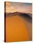 Sand Dune in Desert, Namib Desert, Namibia-Peter Adams-Stretched Canvas