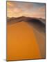 Sand Dune in Desert, Namib Desert, Namibia-Peter Adams-Mounted Photographic Print