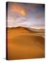 Sand Dune in Desert, Namibia-Peter Adams-Stretched Canvas