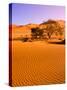 Sand Dune Landscape, Sossusvlei, Namibia World Heritage Site, Namib-Naukluft National Park, Namibia-Michele Westmorland-Stretched Canvas