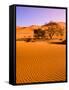 Sand Dune Landscape, Sossusvlei, Namibia World Heritage Site, Namib-Naukluft National Park, Namibia-Michele Westmorland-Framed Stretched Canvas