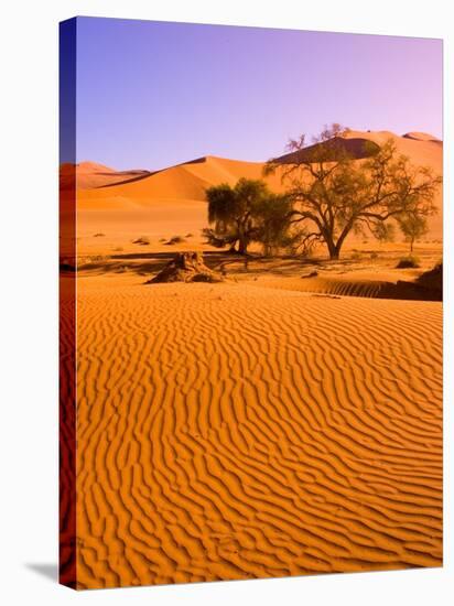 Sand Dune Landscape, Sossusvlei, Namibia World Heritage Site, Namib-Naukluft National Park, Namibia-Michele Westmorland-Stretched Canvas