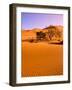 Sand Dune Landscape, Sossusvlei, Namibia World Heritage Site, Namib-Naukluft National Park, Namibia-Michele Westmorland-Framed Photographic Print