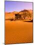 Sand Dune Landscape, Sossusvlei, Namibia World Heritage Site, Namib-Naukluft National Park, Namibia-Michele Westmorland-Mounted Photographic Print