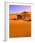 Sand Dune Landscape, Sossusvlei, Namibia World Heritage Site, Namib-Naukluft National Park, Namibia-Michele Westmorland-Framed Photographic Print