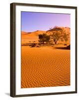 Sand Dune Landscape, Sossusvlei, Namibia World Heritage Site, Namib-Naukluft National Park, Namibia-Michele Westmorland-Framed Photographic Print