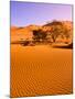 Sand Dune Landscape, Sossusvlei, Namibia World Heritage Site, Namib-Naukluft National Park, Namibia-Michele Westmorland-Mounted Photographic Print