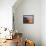 Sand Dune Near Sesriem, Namib Naukluft Park, Namibia, Africa-Lee Frost-Framed Stretched Canvas displayed on a wall