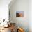 Sand Dune Near Sesriem, Namib Naukluft Park, Namibia, Africa-Lee Frost-Photographic Print displayed on a wall