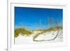 Sand Dune on the Beach, Siesta Key Beach, Siesta, Sarasota, Sarasota County, Florida, USA-null-Framed Photographic Print