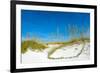 Sand Dune on the Beach, Siesta Key Beach, Siesta, Sarasota, Sarasota County, Florida, USA-null-Framed Photographic Print