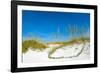 Sand Dune on the Beach, Siesta Key Beach, Siesta, Sarasota, Sarasota County, Florida, USA-null-Framed Photographic Print