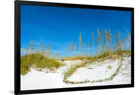 Sand Dune on the Beach, Siesta Key Beach, Siesta, Sarasota, Sarasota County, Florida, USA-null-Framed Photographic Print