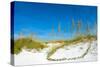 Sand Dune on the Beach, Siesta Key Beach, Siesta, Sarasota, Sarasota County, Florida, USA-null-Stretched Canvas