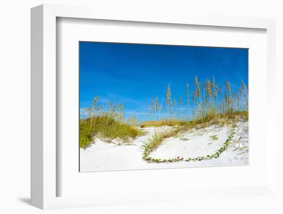 Sand Dune on the Beach, Siesta Key Beach, Siesta, Sarasota, Sarasota County, Florida, USA-null-Framed Photographic Print