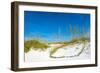 Sand Dune on the Beach, Siesta Key Beach, Siesta, Sarasota, Sarasota County, Florida, USA-null-Framed Photographic Print