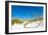 Sand Dune on the Beach, Siesta Key Beach, Siesta, Sarasota, Sarasota County, Florida, USA-null-Framed Photographic Print