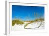 Sand Dune on the Beach, Siesta Key Beach, Siesta, Sarasota, Sarasota County, Florida, USA-null-Framed Photographic Print