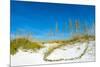 Sand Dune on the Beach, Siesta Key Beach, Siesta, Sarasota, Sarasota County, Florida, USA-null-Mounted Premium Photographic Print