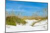 Sand Dune on the Beach, Siesta Key Beach, Siesta, Sarasota, Sarasota County, Florida, USA-null-Mounted Photographic Print