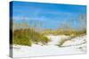 Sand Dune on the Beach, Siesta Key Beach, Siesta, Sarasota, Sarasota County, Florida, USA-null-Stretched Canvas