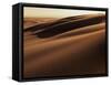 Sand Dune, Oregon Dunes National Recreation Area, Oregon, USA-Charles Gurche-Framed Stretched Canvas