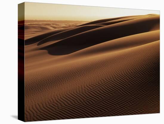 Sand Dune, Oregon Dunes National Recreation Area, Oregon, USA-Charles Gurche-Stretched Canvas