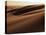 Sand Dune, Oregon Dunes National Recreation Area, Oregon, USA-Charles Gurche-Stretched Canvas