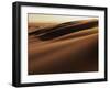 Sand Dune, Oregon Dunes National Recreation Area, Oregon, USA-Charles Gurche-Framed Premium Photographic Print