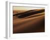 Sand Dune, Oregon Dunes National Recreation Area, Oregon, USA-Charles Gurche-Framed Premium Photographic Print